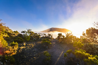 First sunlights of the day and blue sky over dolomieu crater at reunion island