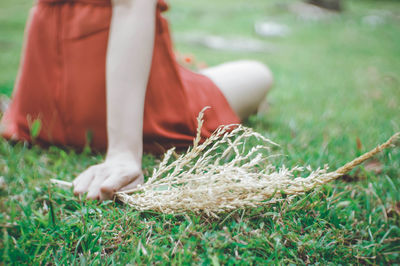 Midsection of woman holding dry plant while sitting on field