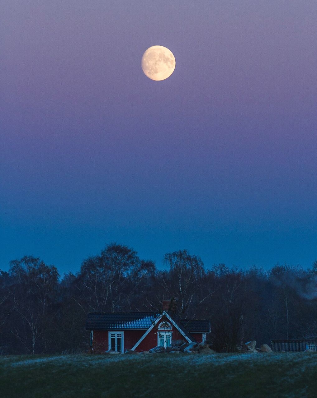 blue, night, sky, moon, tree, astronomy, star - space, nature, beauty in nature, no people, scenics, space, galaxy, constellation, outdoors