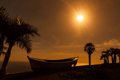 Scenic view of palm trees on beach during sunset