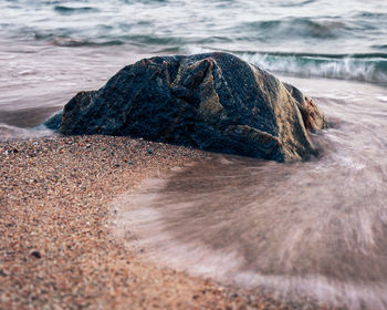 Surface level of rocks on shore