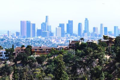 Trees and buildings in city against sky