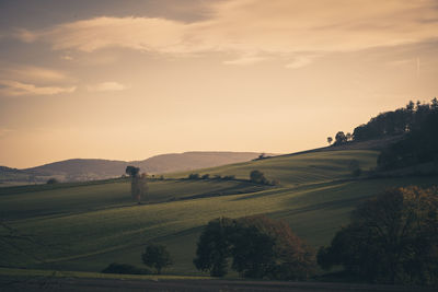 Scenic view of agricultural field against sky during sunset