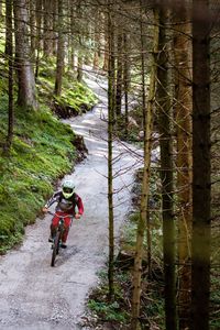 Man riding motorcycle on road amidst trees in forest