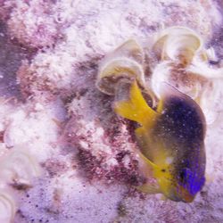Close-up of human hand