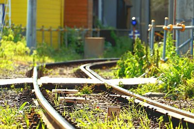 Railroad tracks by plants