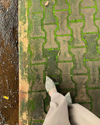 Low section of woman standing on street