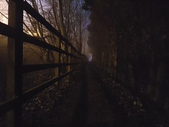 Walkway amidst trees against sky at night