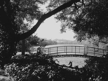 Silhouette trees against sky
