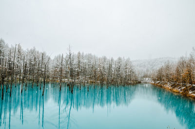 Snow covered trees reflecting in blue pond against clear sky