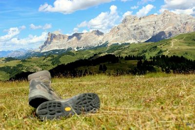 Scenic view of grassy field against sky