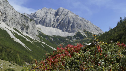 mountain