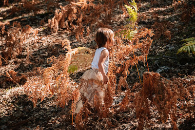 Rear view of woman standing on rock in forest