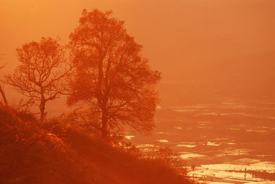 Scenic view of sunset