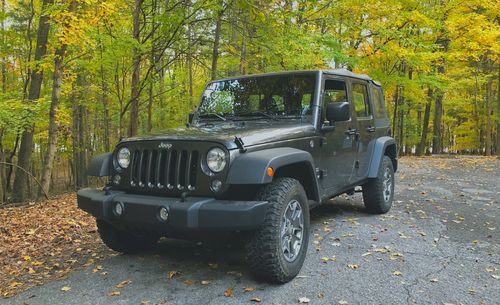 Car in forest during autumn