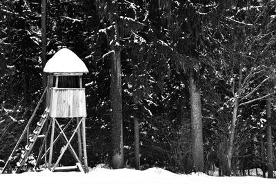 Snow covered trees in winter