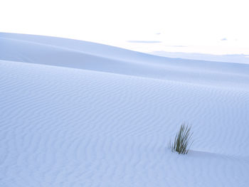 Scenic view of sand dunes at beach against sky