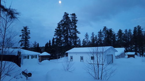 Houses by trees against sky during winter