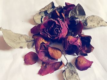 Close-up of wilted rose on table