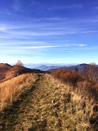Scenic view of landscape against blue sky