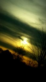 Silhouette trees against sky at sunset