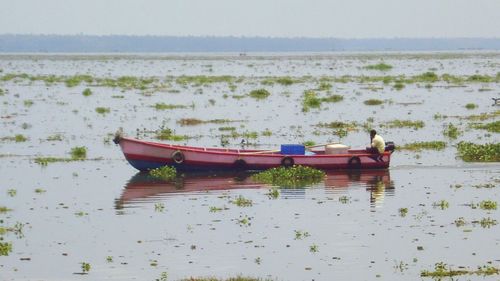 Boats in sea