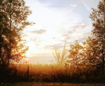 Scenic view of field against sky at sunset