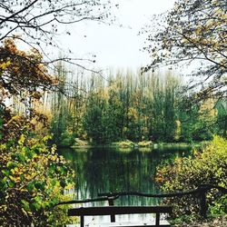 Scenic view of lake in forest against sky
