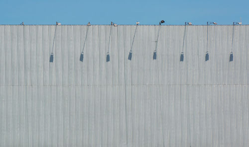 Low angle view of birds perching on wall against blue sky