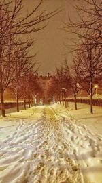 Bare trees on snow covered landscape