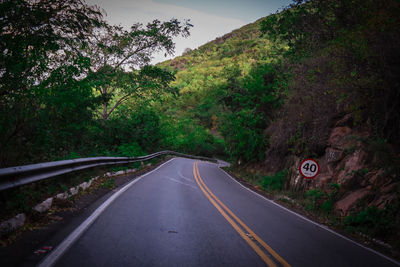 Road amidst trees and plants against sky