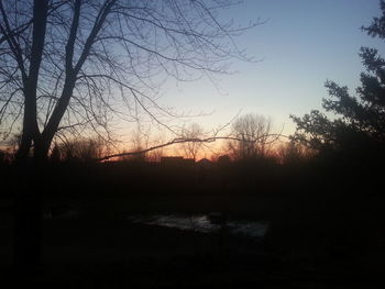 Silhouette trees against sky during sunset