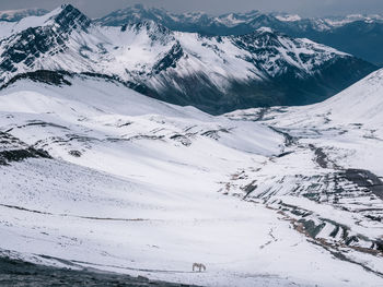 Scenic view of snow covered mountains