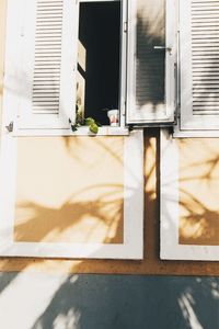 Potted plant on table by window of building
