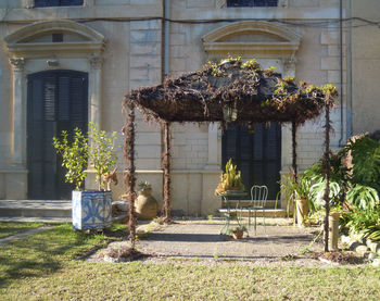 Statue by tree against built structure