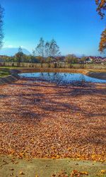 Scenic view of field against clear blue sky