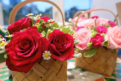 Close-up of pink roses