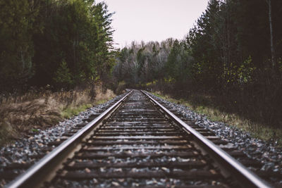 Railroad tracks amidst trees against clear sky