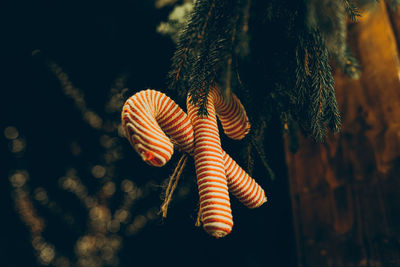 Holiday decorations in europian christmas market