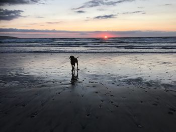 Silhouette man standing on beach against sky during sunset