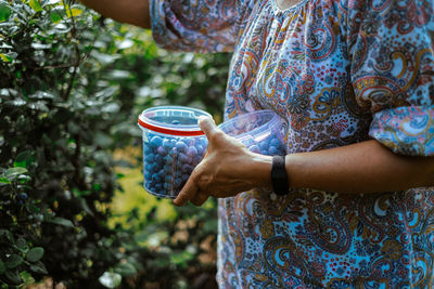 Hand holding plastic bucket with blueberries while harvesting