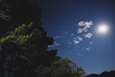 Low angle view of trees against blue sky