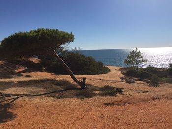 Scenic view of sea against clear blue sky