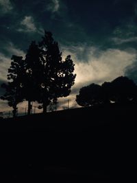 Silhouette of trees at sunset