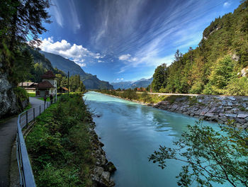 Scenic view of river amidst trees against sky
