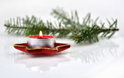 Close-up of christmas decoration
