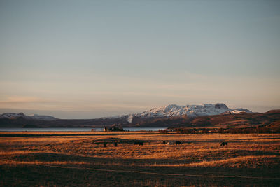 Scenic view of beach against sky during sunset