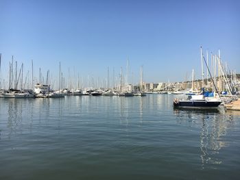 Sailboats in sea