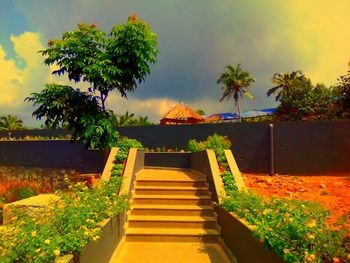 Footpath amidst plants and trees against sky during sunset