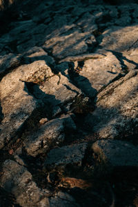 High angle view of rocks